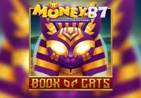 money 888